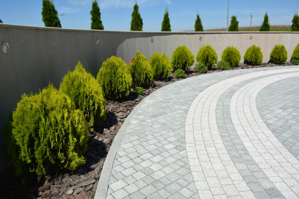 Professional Driveway Pavers in San Anselmo, CA