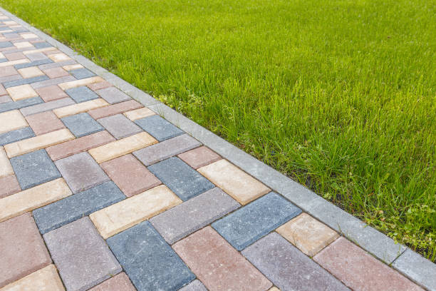 Best Professional Driveway Pavers  in San Anselmo, CA